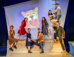 "Το Καπλάνι της βιτρίνας": Δύο ακόμη Κυριακές για το κοινό